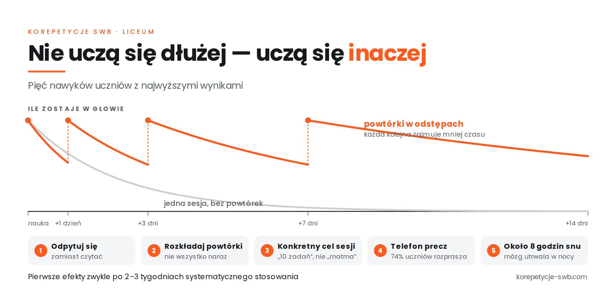 Nawyki uczniów z wysokimi wynikami – co robią inaczej